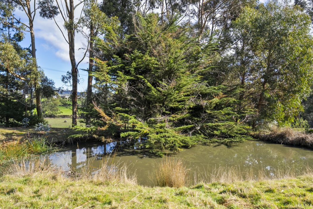 60 Coolstore Road, Premaydena, TAS, 7185