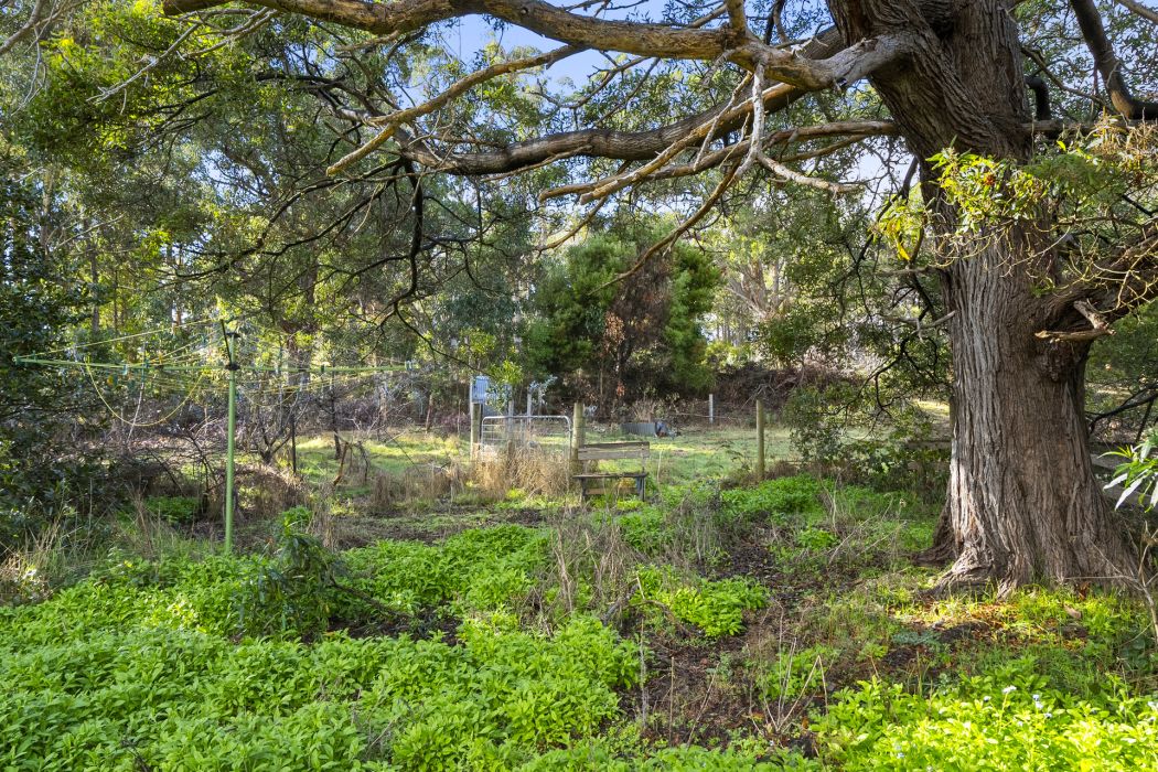 60 Coolstore Road, Premaydena, TAS, 7185