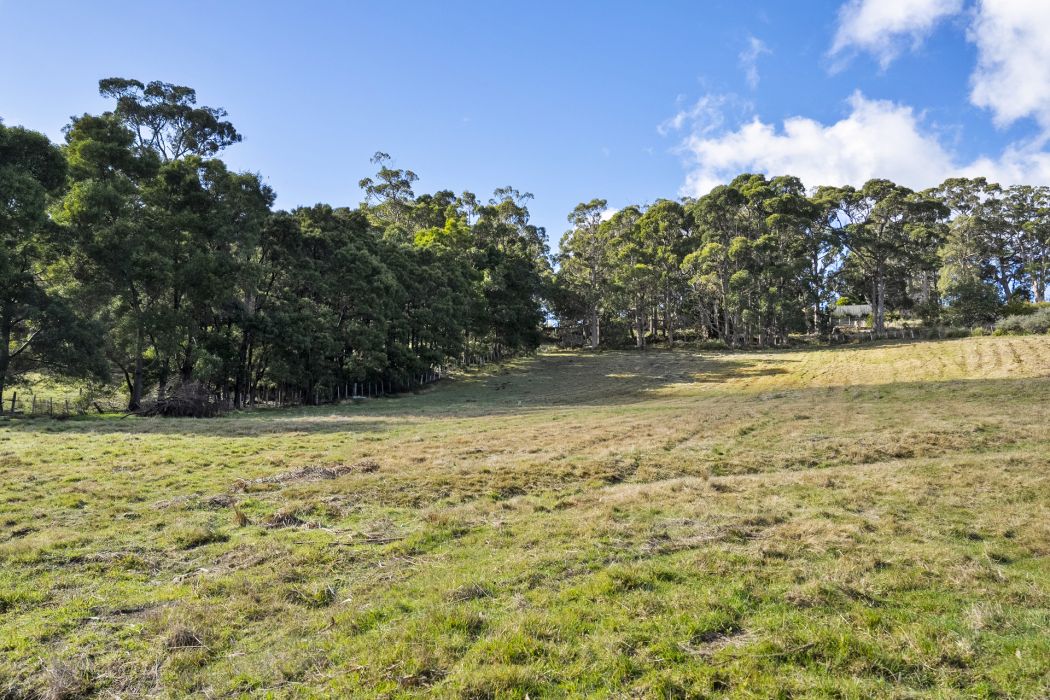 60 Coolstore Road, Premaydena, TAS, 7185