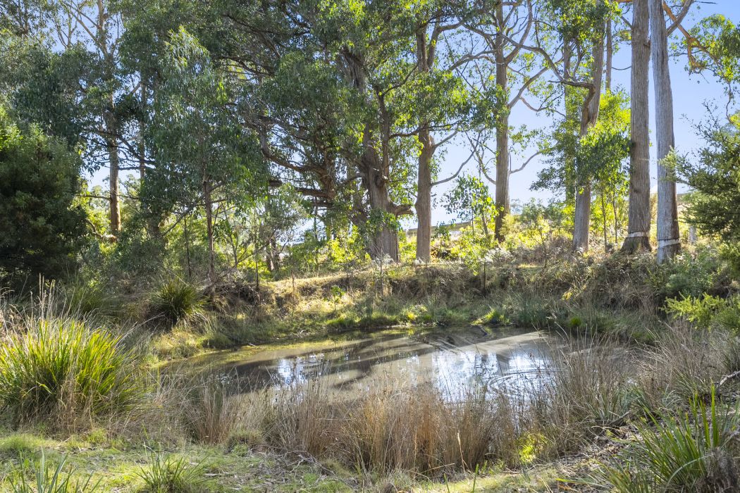 60 Coolstore Road, Premaydena, TAS, 7185