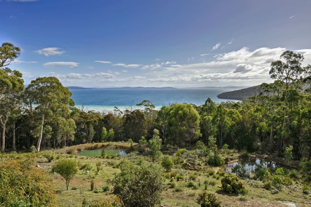 111 Nubeena Road, Taranna, TAS, 7180