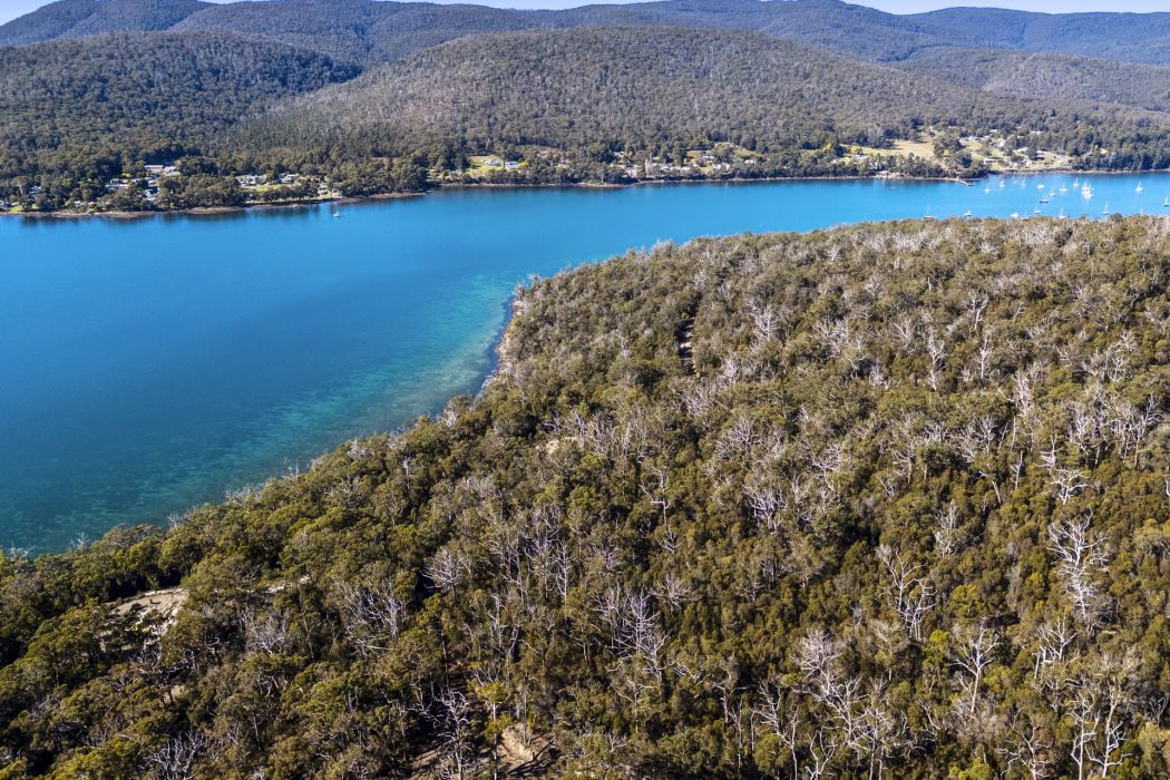 Sympathy Point Road, Taranna, TAS, 7180