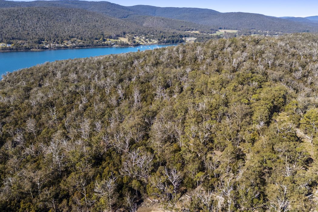 Sympathy Point Road, Taranna, TAS, 7180