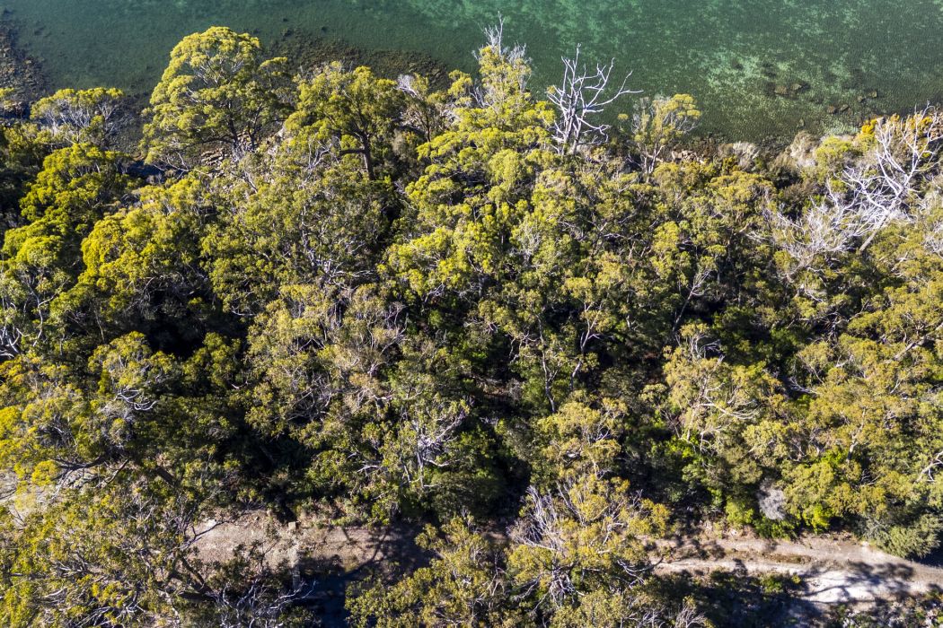 Sympathy Point Road, Taranna, TAS, 7180