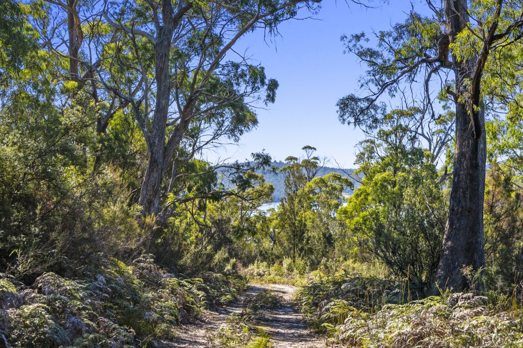 Sympathy Point Road, Taranna, TAS, 7180