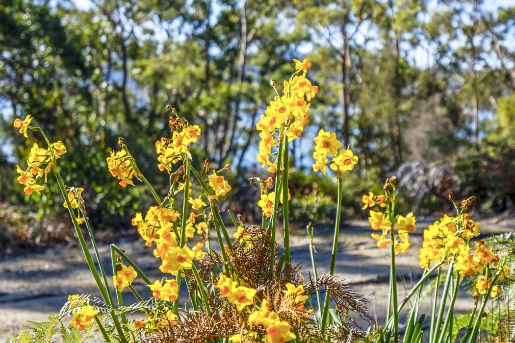 Sympathy Point Road, Taranna, TAS, 7180