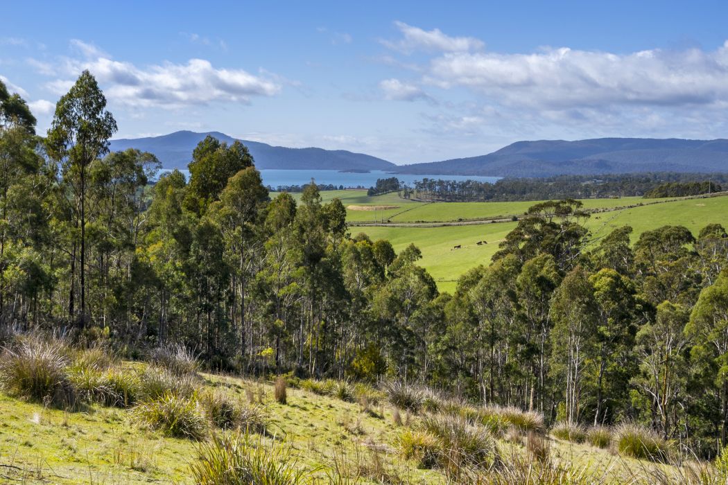 129 Littles Road, Premaydena, TAS, 7185