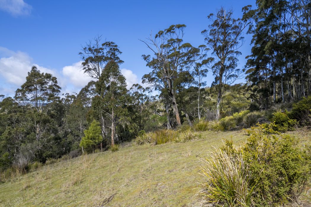 129 Littles Road, Premaydena, TAS, 7185