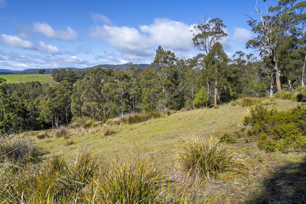 129 Littles Road, Premaydena, TAS, 7185