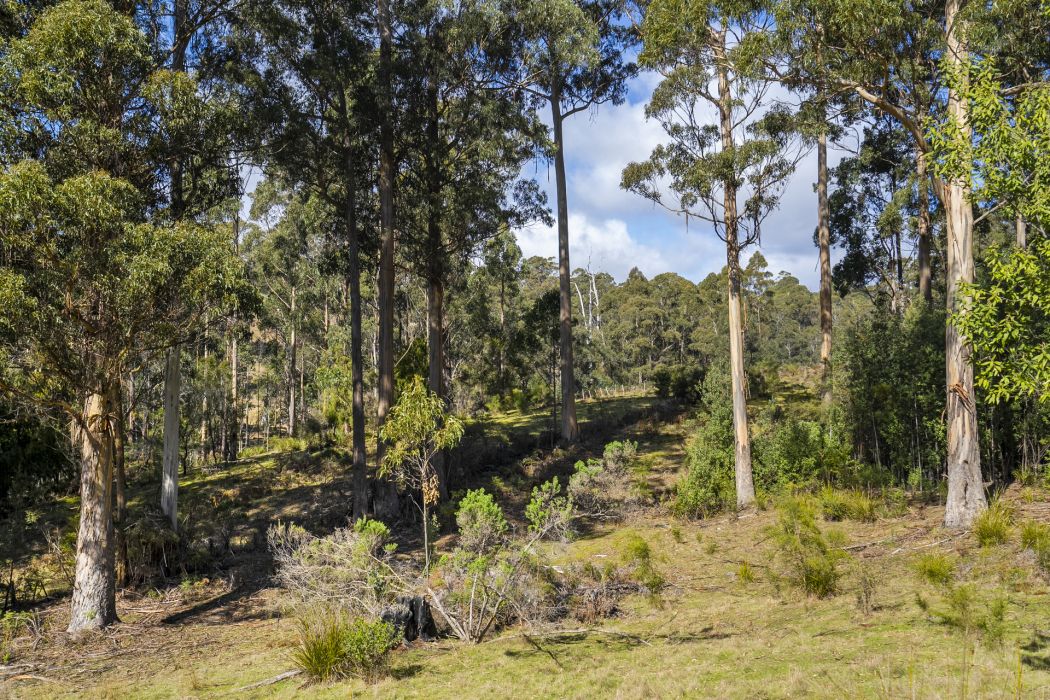 129 Littles Road, Premaydena, TAS, 7185