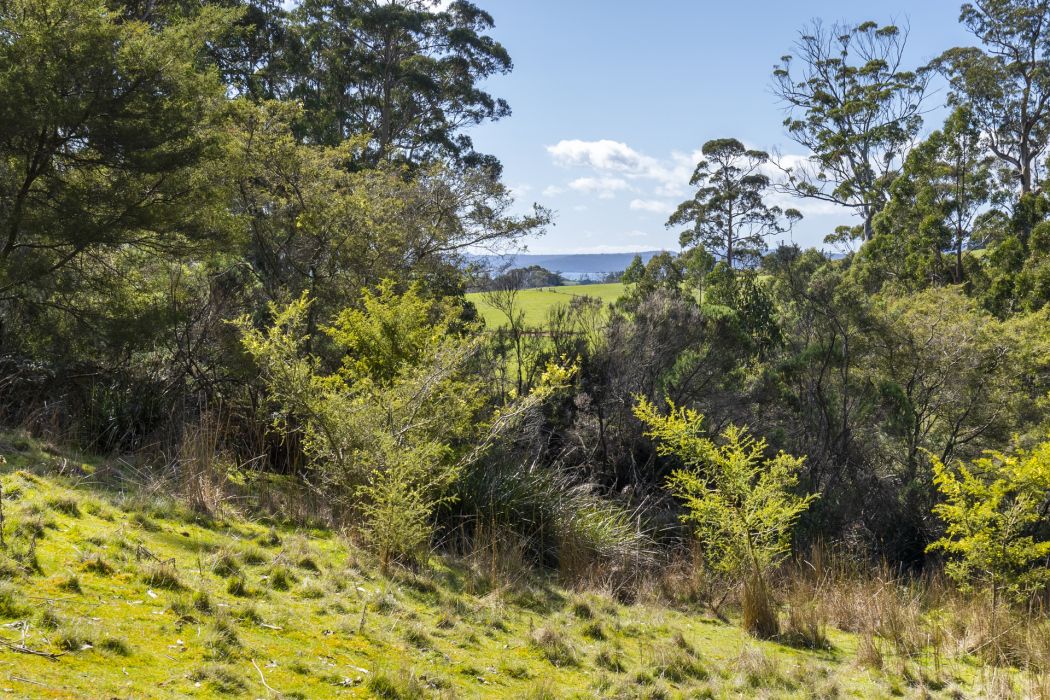 129 Littles Road, Premaydena, TAS, 7185