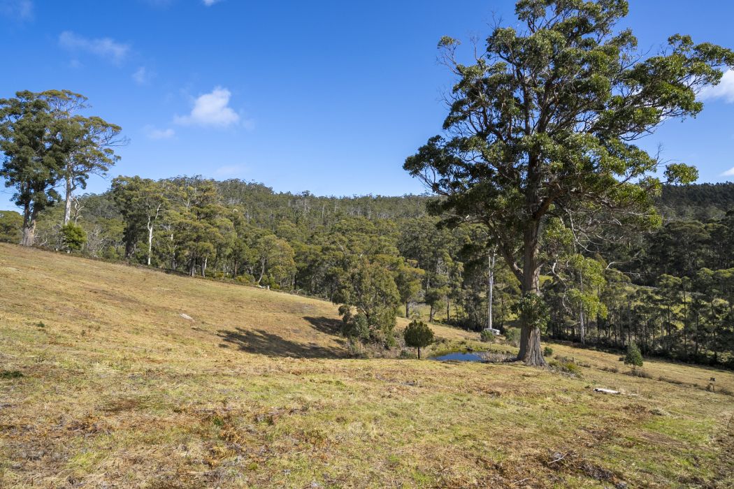 129 Littles Road, Premaydena, TAS, 7185