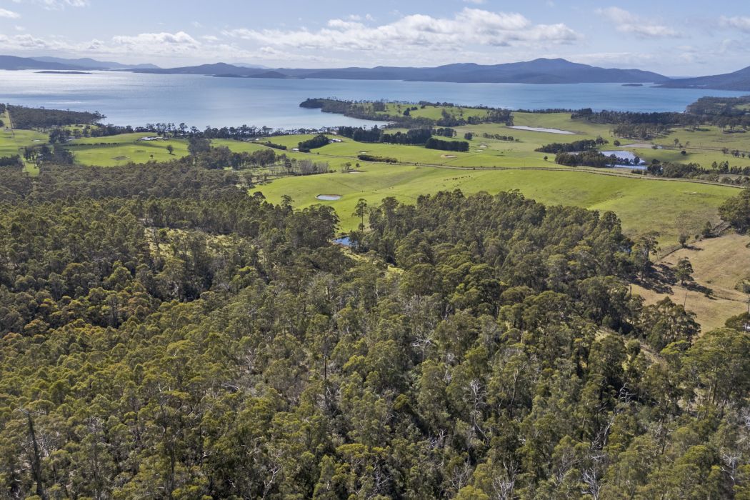 129 Littles Road, Premaydena, TAS, 7185