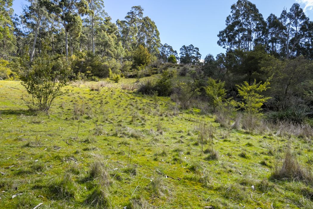 129 Littles Road, Premaydena, TAS, 7185