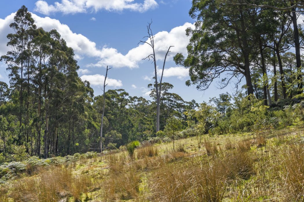 129 Littles Road, Premaydena, TAS, 7185