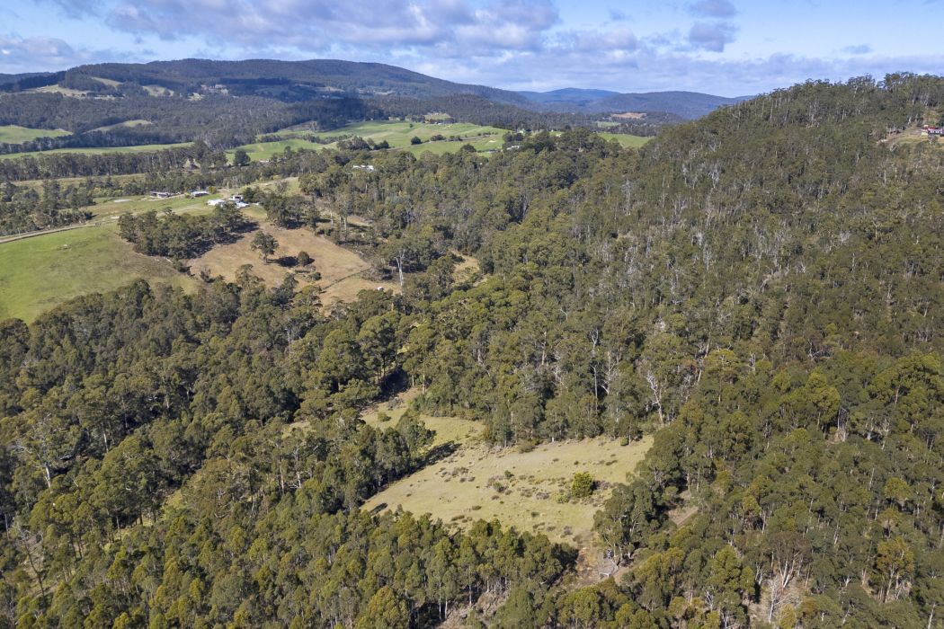 129 Littles Road, Premaydena, TAS, 7185