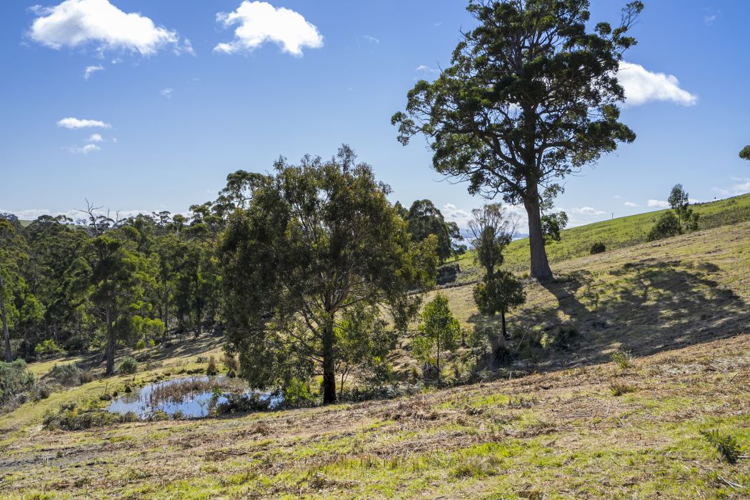 129 Littles Road, Premaydena, TAS, 7185