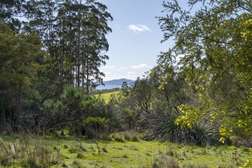 129 Littles Road, Premaydena, TAS, 7185