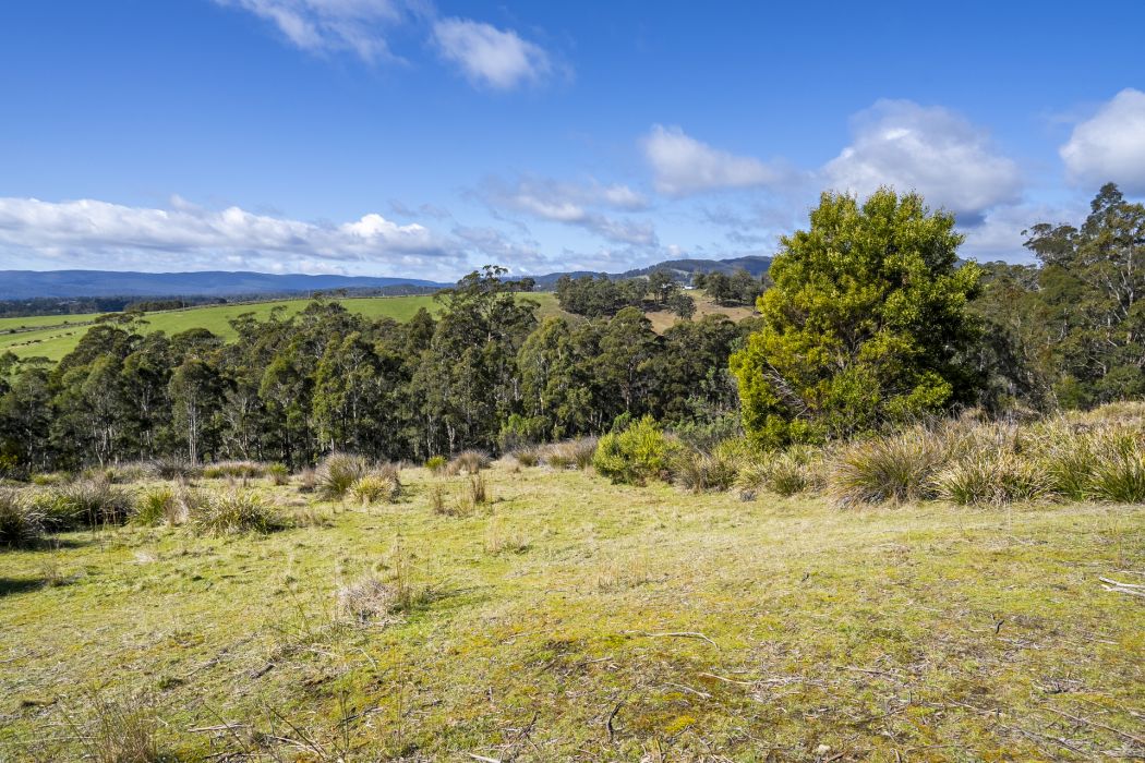 129 Littles Road, Premaydena, TAS, 7185