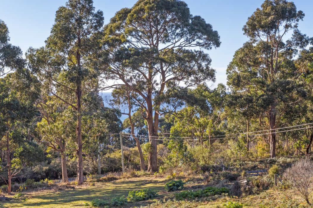 178 Blowhole Road, Eaglehawk Neck, TAS, 7179