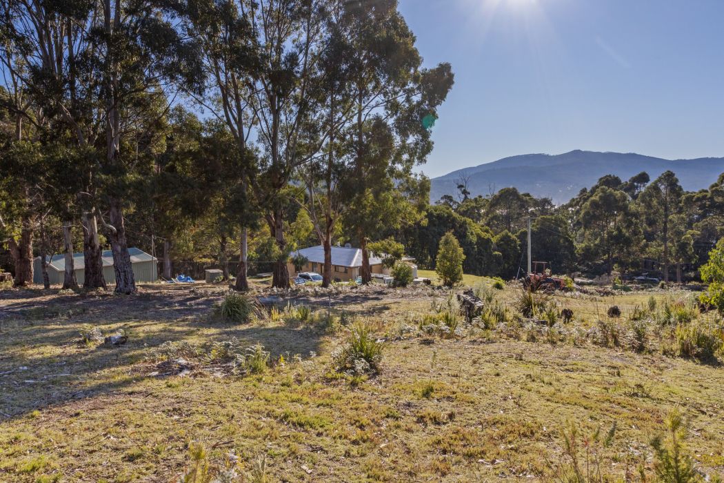 178 Blowhole Road, Eaglehawk Neck, TAS, 7179