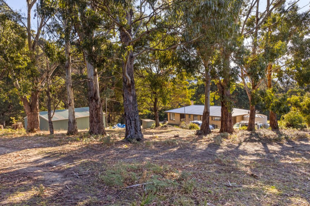 178 Blowhole Road, Eaglehawk Neck, TAS, 7179