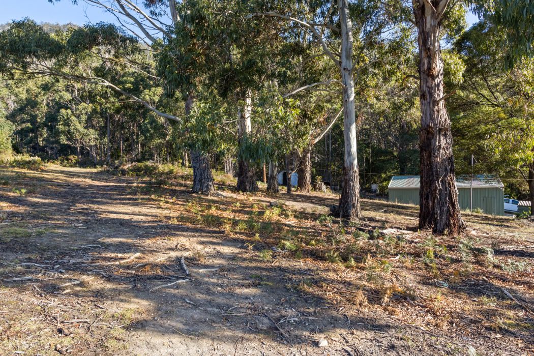 178 Blowhole Road, Eaglehawk Neck, TAS, 7179