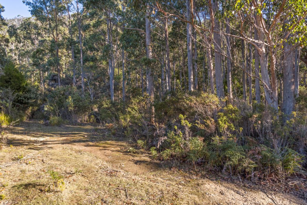 178 Blowhole Road, Eaglehawk Neck, TAS, 7179