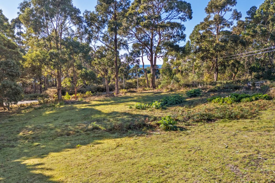 178 Blowhole Road, Eaglehawk Neck, TAS, 7179