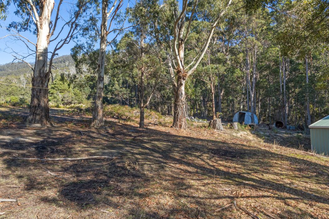 178 Blowhole Road, Eaglehawk Neck, TAS, 7179