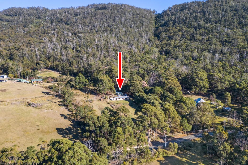 178 Blowhole Road, Eaglehawk Neck, TAS, 7179