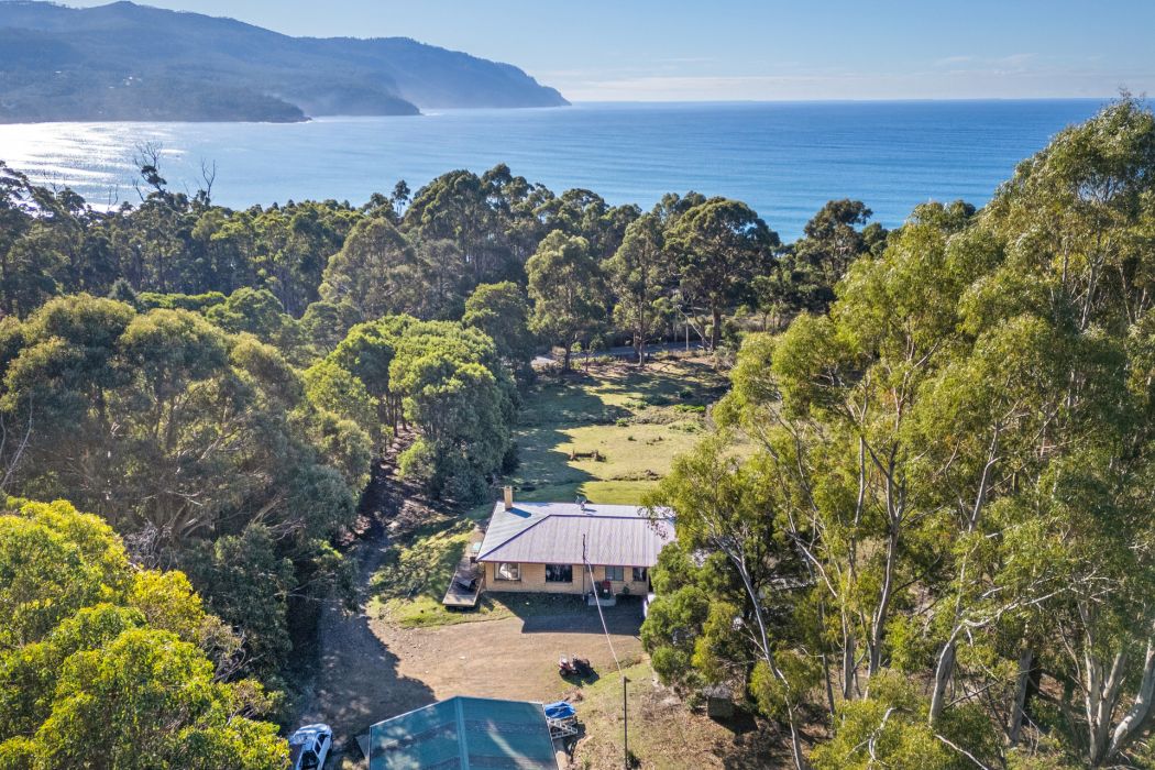 178 Blowhole Road, Eaglehawk Neck, TAS, 7179