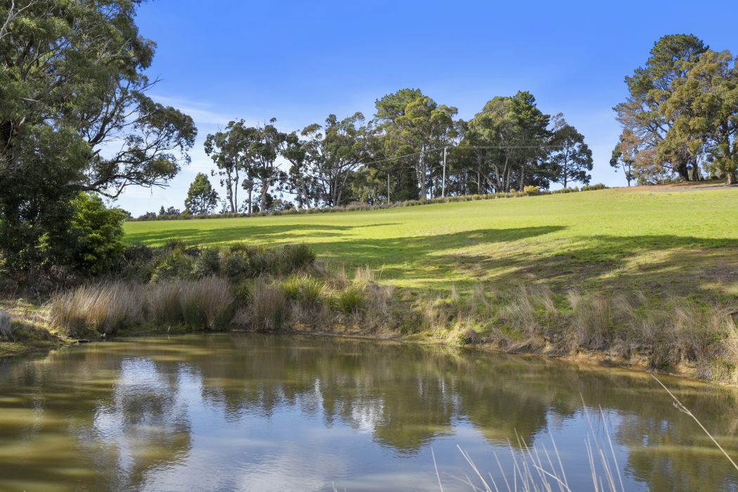 831 Nubeena Back Road, Koonya, TAS, 7187