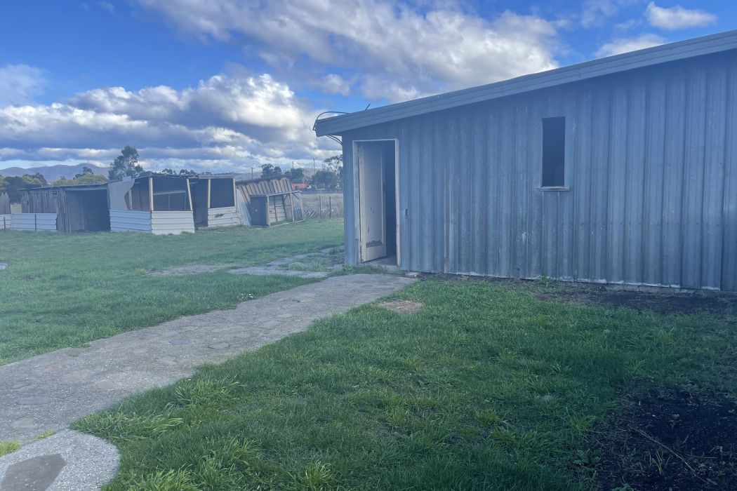 47 Henry Street, Triabunna, TAS, 7190