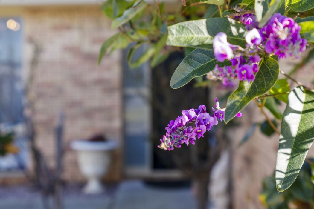17 Amelia Court, Sorell, TAS, 7172