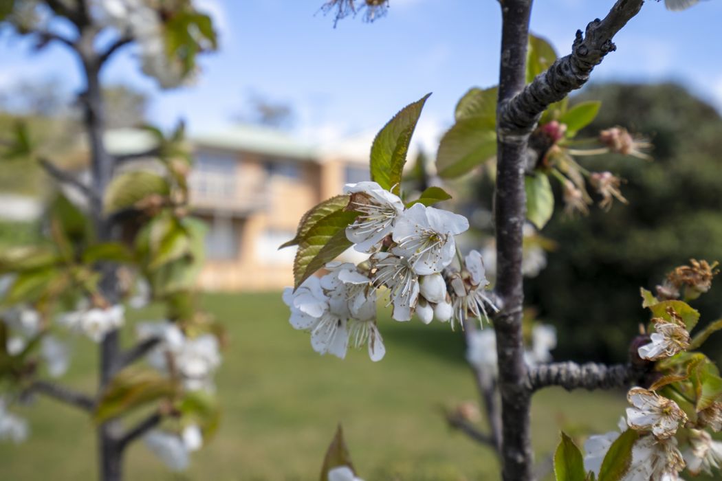 5127 Arthur Highway, Eaglehawk Neck, TAS, 7179