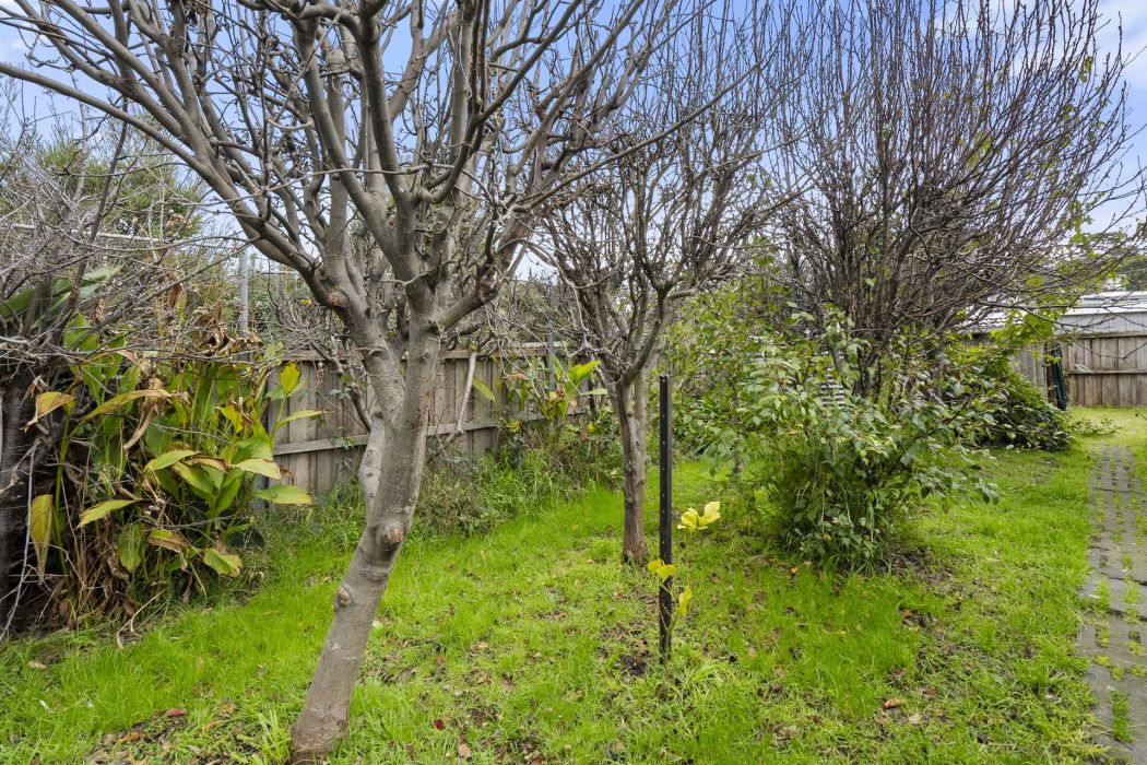 332 Carlton Beach Road, Carlton, TAS, 7173