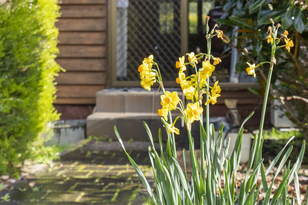 332 Carlton Beach Road, Carlton, TAS, 7173
