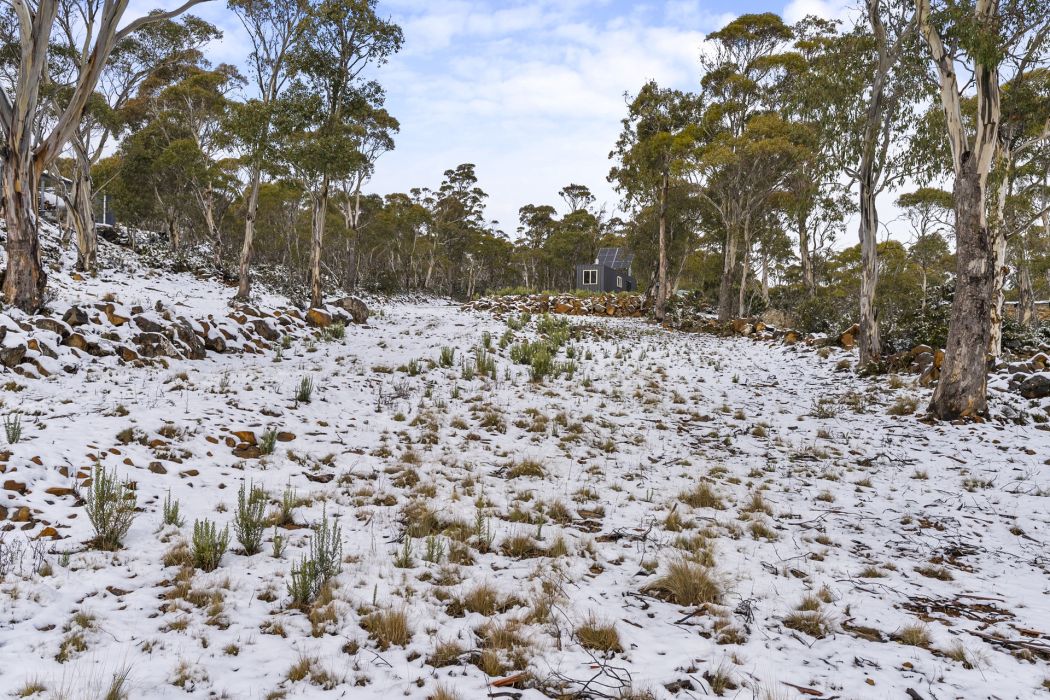 7 Little Dog Court, Miena, TAS, 7030