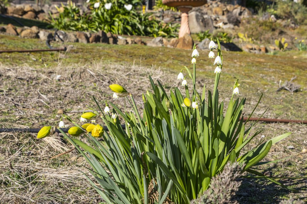 4 Reef View Road, Murdunna, TAS, 7178