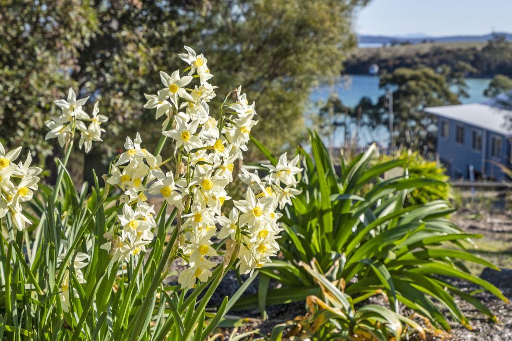 4 Reef View Road, Murdunna, TAS, 7178