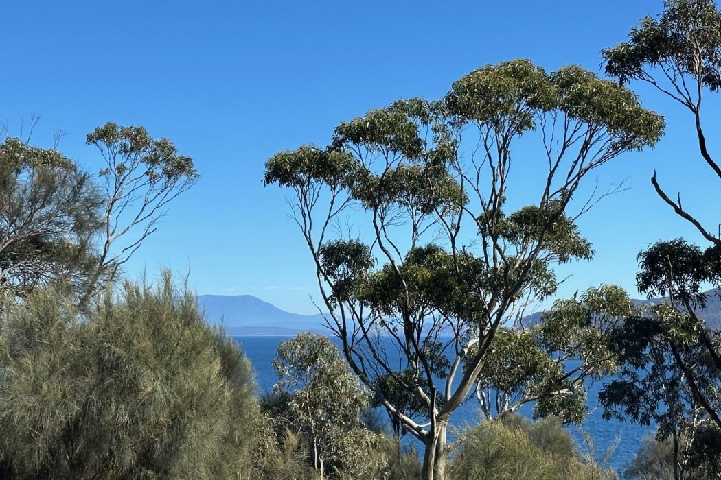 613 White Beach Road, White Beach, TAS, 7184