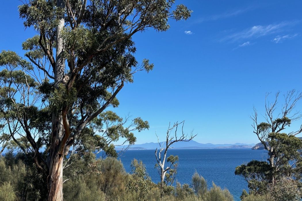 613 White Beach Road, White Beach, TAS, 7184