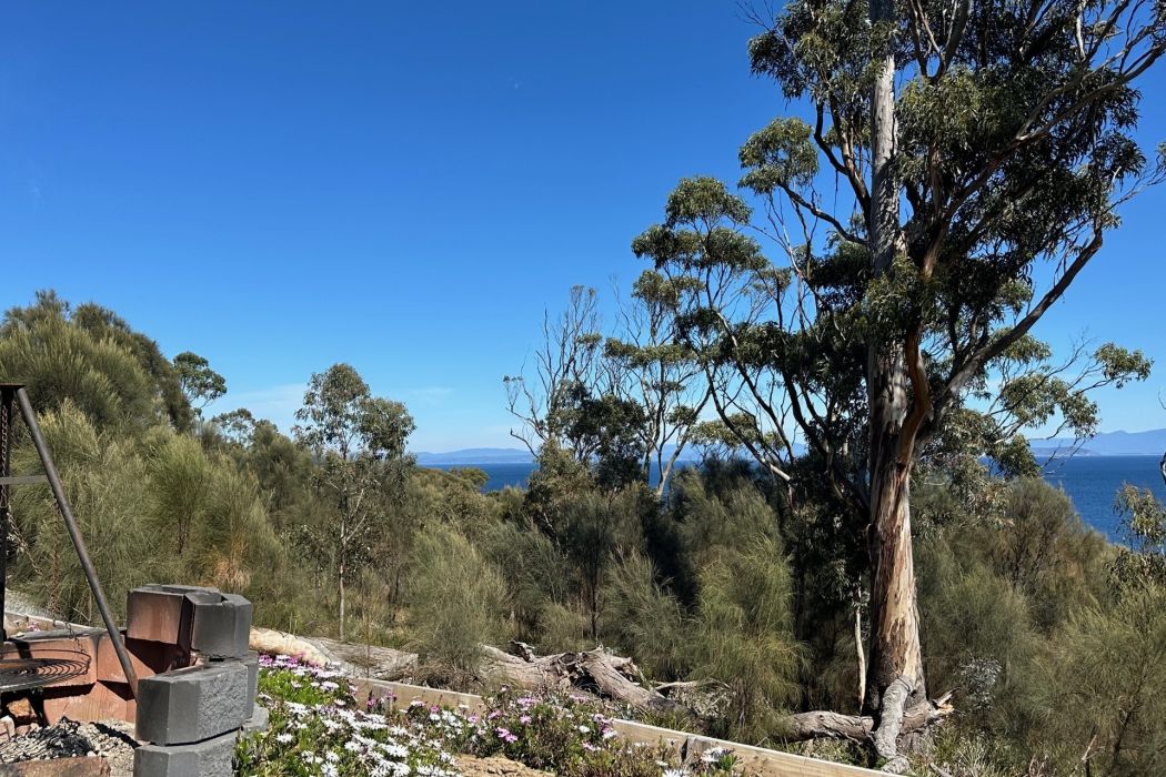 613 White Beach Road, White Beach, TAS, 7184