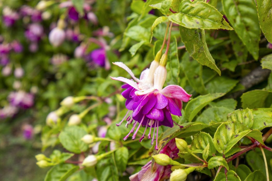 2 Kruvale Road, Port Arthur, TAS, 7182