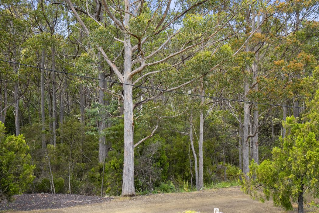 2 Kruvale Road, Port Arthur, TAS, 7182