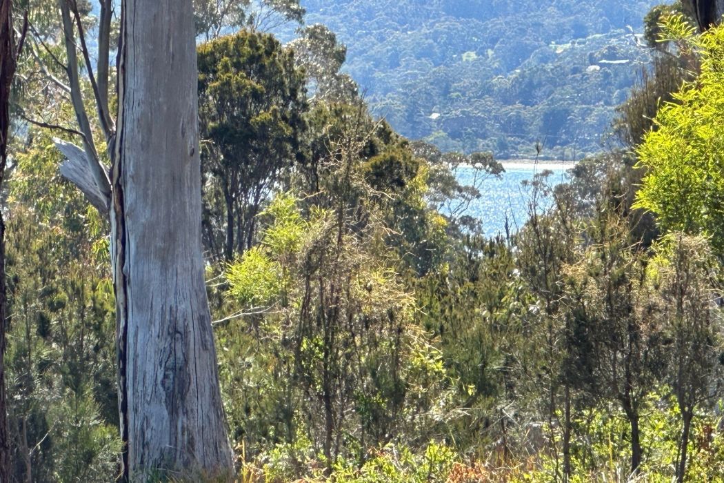 512 White Beach Road, White Beach, TAS, 7184