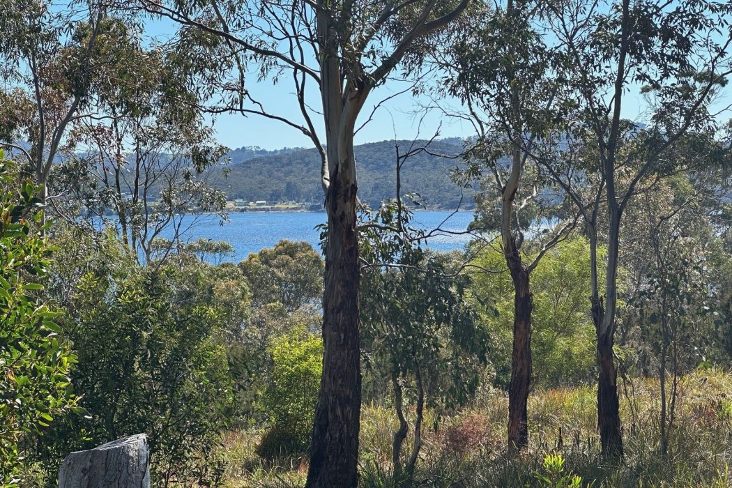 512 White Beach Road, White Beach, TAS, 7184