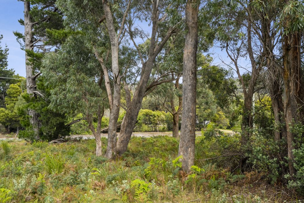 5 Nichols Road, Nubeena, TAS, 7184