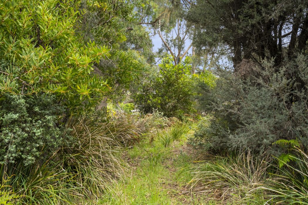 5 Nichols Road, Nubeena, TAS, 7184